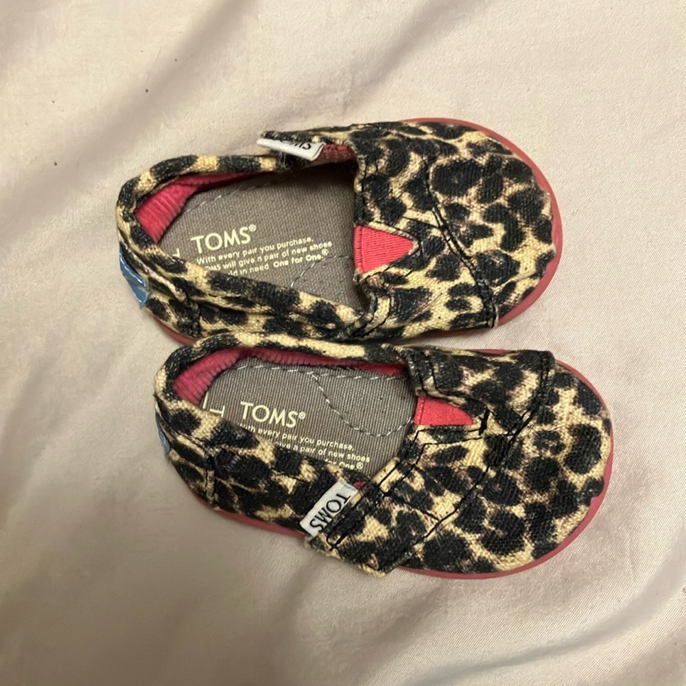 Toddler cheetah Tom’s